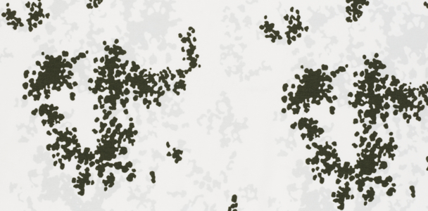 Detailaufnahme des Gewebe Polar