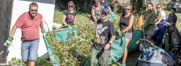 Teamwork while cutting bushes