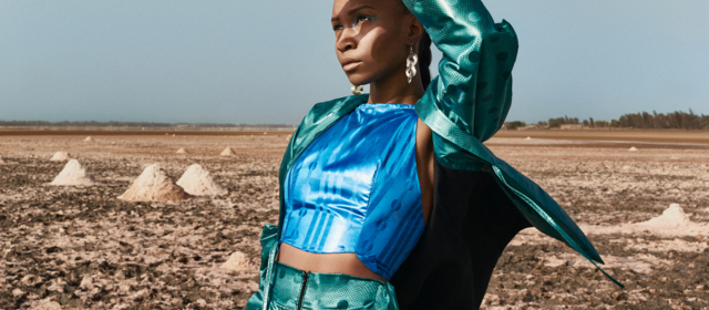 Getzner brocade in Dakar