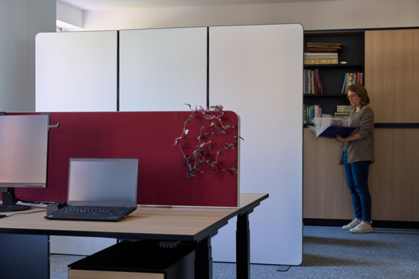 Acunic-Elemente als Schallschutz in Büroräumen – als Raumteiler und Tischtopper.