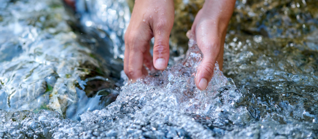 Getzner Textil ist sich der Verantwortung für den Erhalt einer lebenswerten Umwelt bewusst und hilft, eine sichere und gesunde Umwelt zu erhalten.