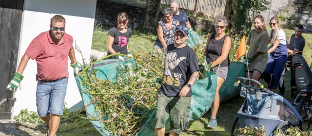 Teamwork while cutting bushes